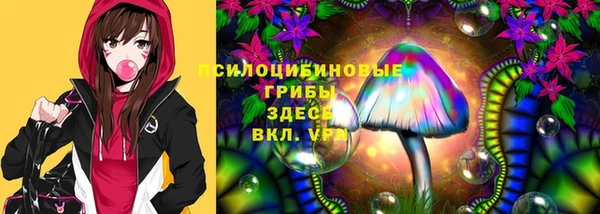 спиды Магадан